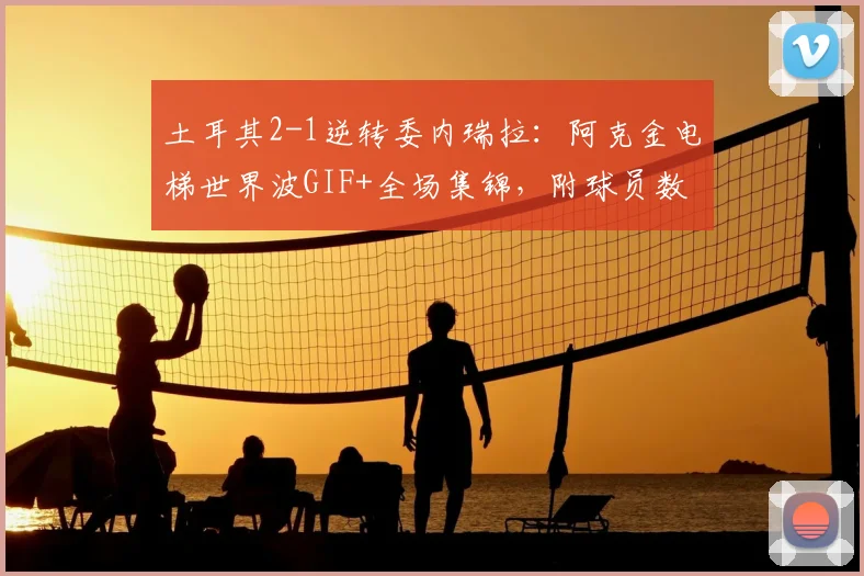 土耳其2-1逆转委内瑞拉：阿克金电梯世界波GIF+全场集锦，附球员数据深度解析